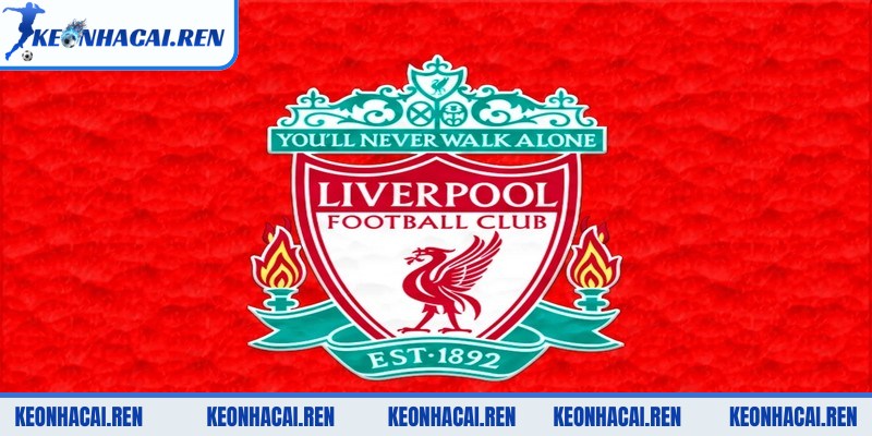 Lịch Sử Fc Liverpool Vang Danh Trên Khắp Thế Giới - lich su fc liverpool thi dau an tuong Sau thảm họa, Liverpool vẫn tiếp tục thi đấu đầy ấn tượng